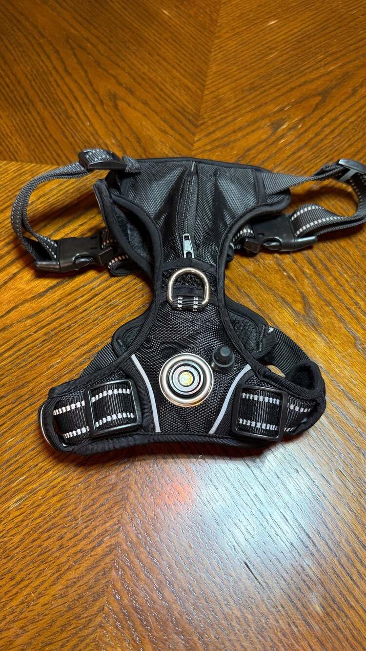 Headlight Harness LED Dog Harness Black Reflective